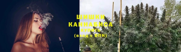 винт Бородино
