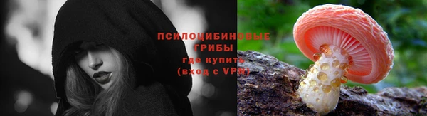 винт Бородино